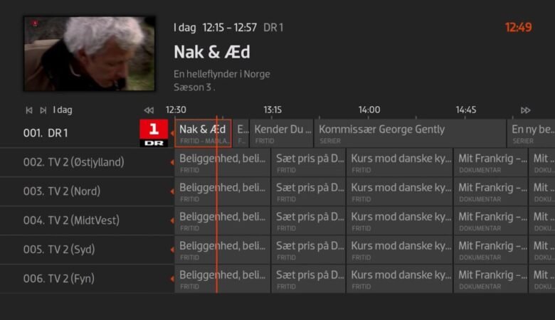 IPTV Danske Kanaler – Se Dine Favoritkanaler Hvor Som Helst i Danmark i 2026